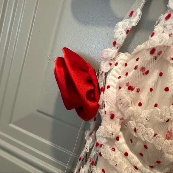 NWT For Love & Lemons Giada Sheer Polka Dot Maxi Dress - Matching Panty Size XXS - Picture 8 of 12